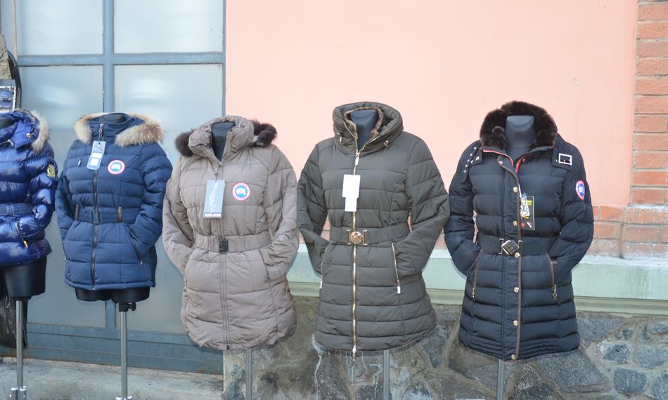 2014-11-20-137Canadian Goose.JPG